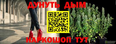 гидропоника Пенза