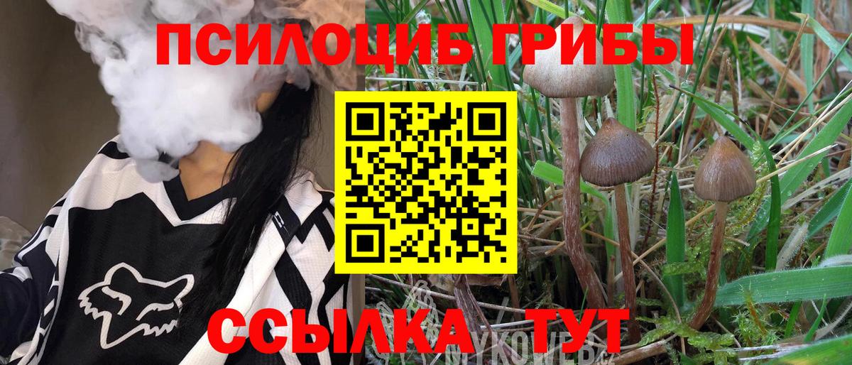 Галлюциногенные грибы мухоморы Армавир